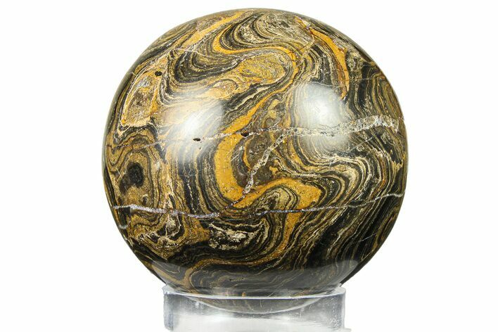 Polished Stromatolite (Greysonia) Sphere - Bolivia #302457